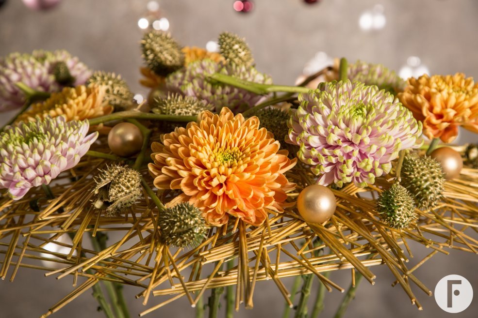 'Rossano Orange' en 'Rossano Charlotte'