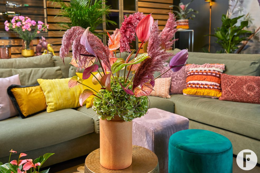 Anthuriums in woonstijl 'Sfeervol'