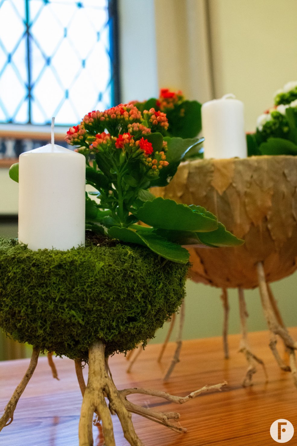 Advent en Kalanchoë