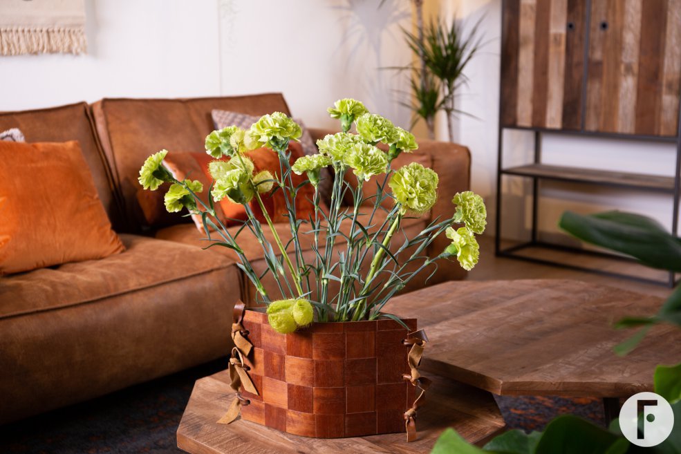 Trendy Dianthus in stoer interieur