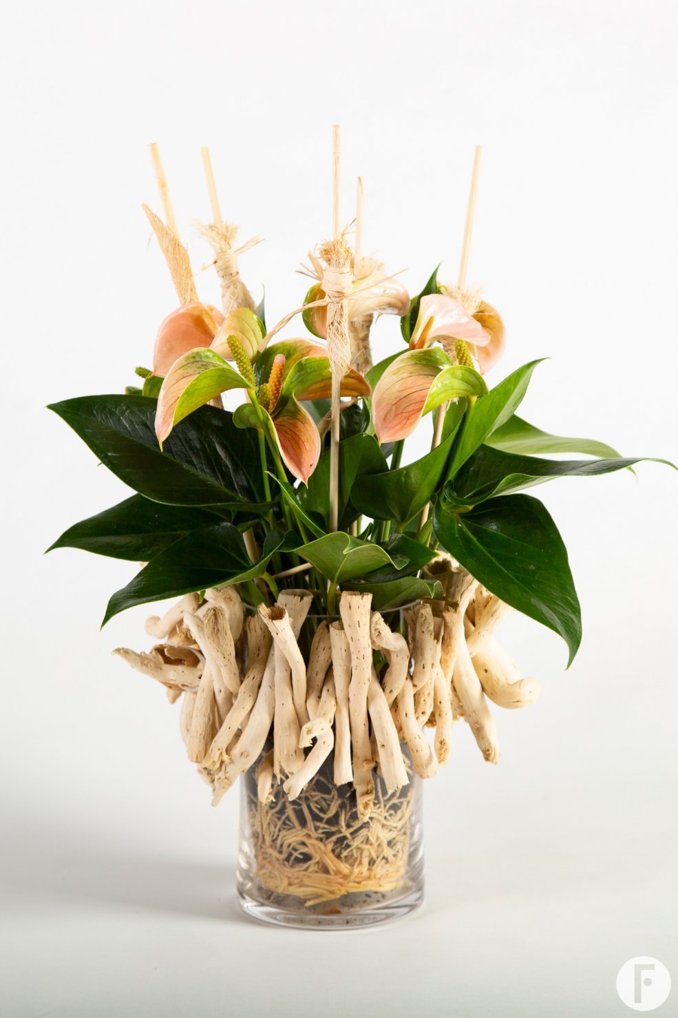 Anthurium arrangement met natuurlijke details - Flower Factor