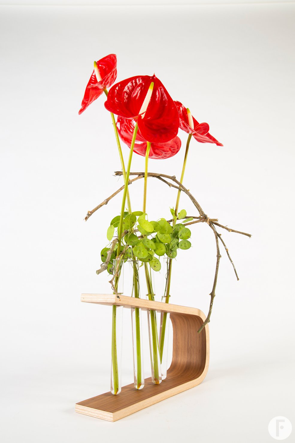 Anthurium object - Pim van den Akker - Flower Factor