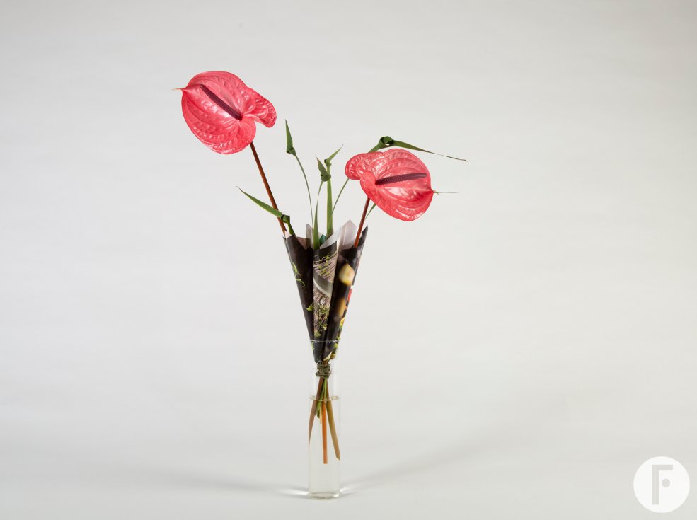 origineel Anthurium boeket - Roos van Unen - Flower Factor