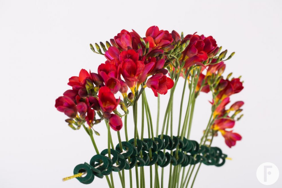 Klassiek en innovatief met rode Freesia in een frame