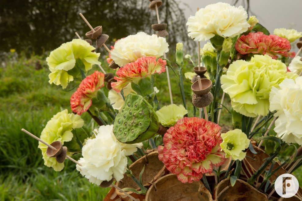Trendy Dianthus frame boeket - close-up