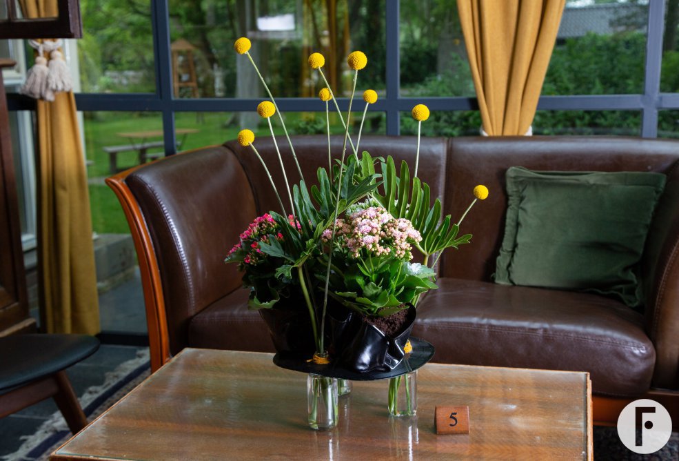 Kalanchoë's in de horeca