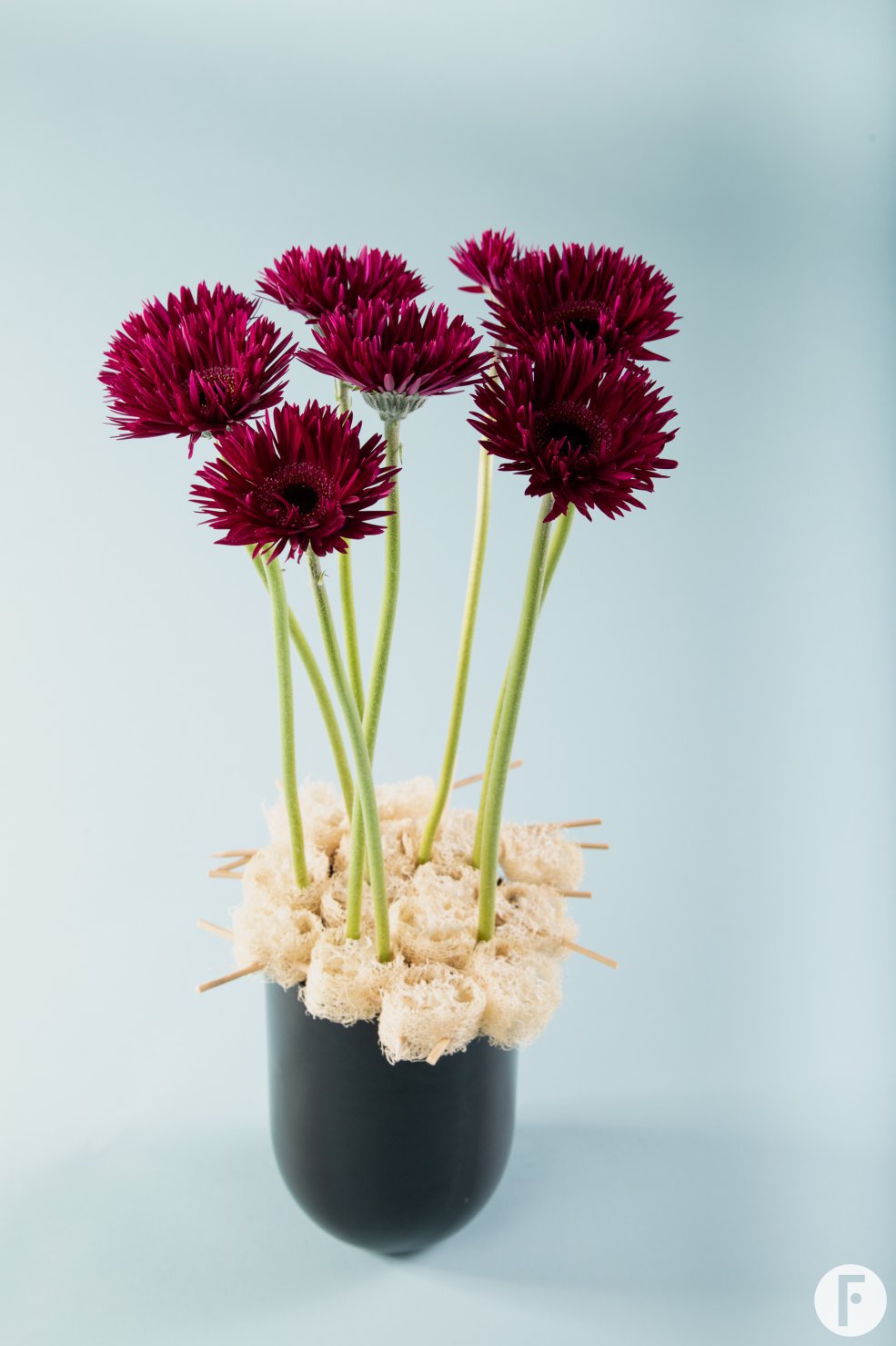 Elegant en contrastrijk mini Gerbera bloemwerk