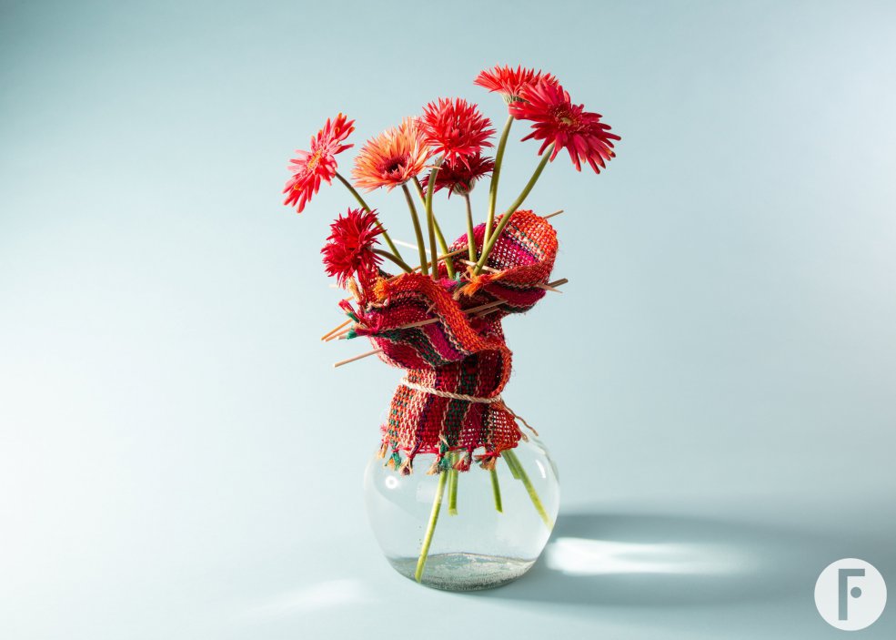 Kleurrijke mini Gerbera soorten voor Moederdag