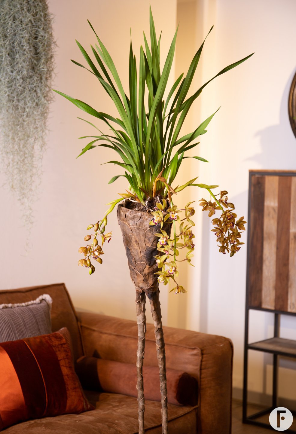 Stoer interieur met Cascade Cymbidium 'Argiro'