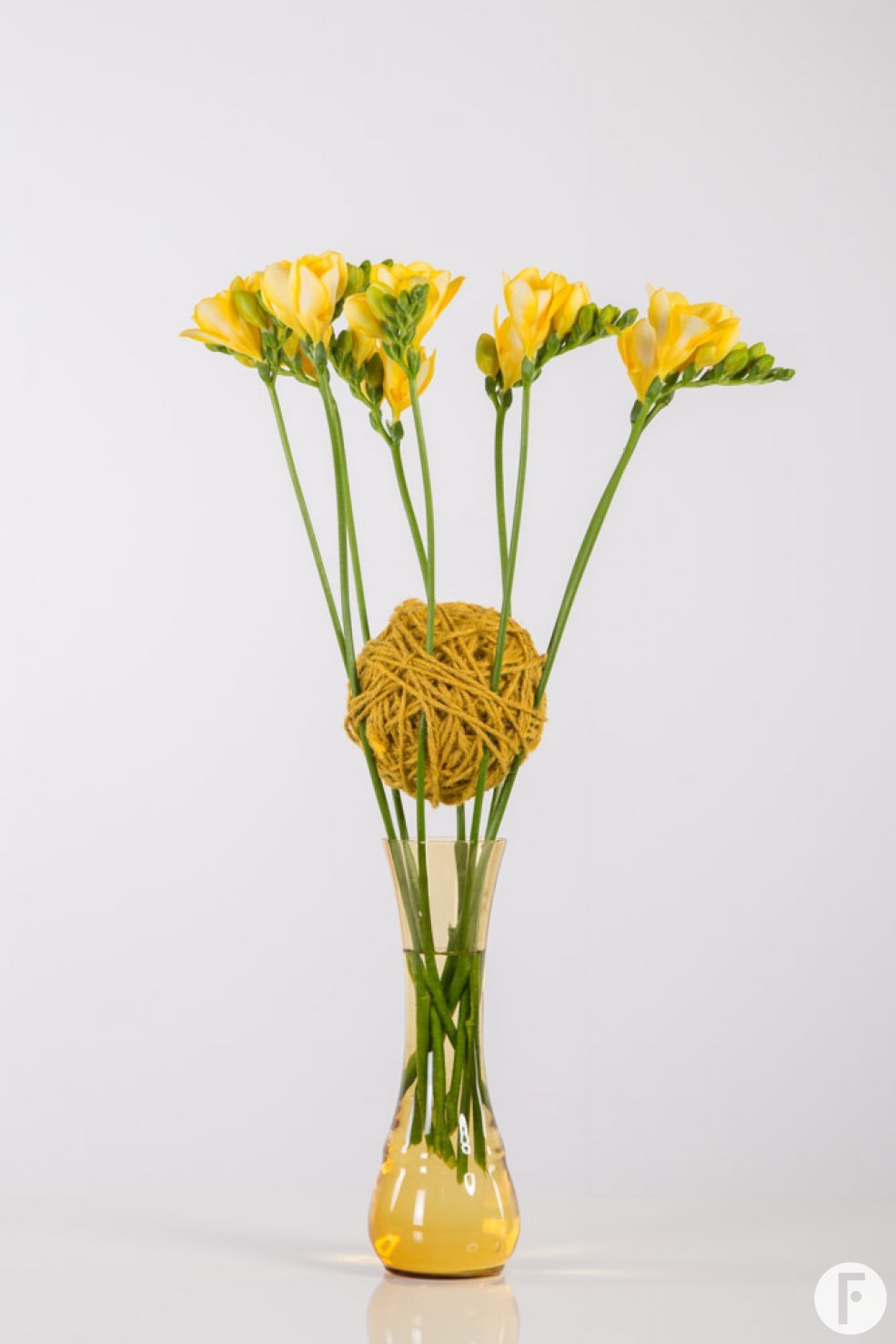 Een hechte Freesia constructie