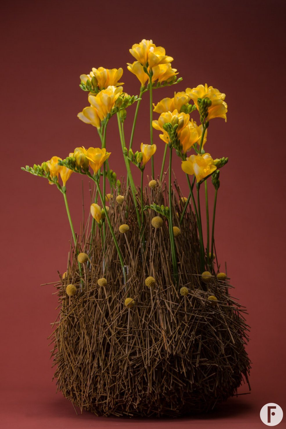 Gele Freesia berg