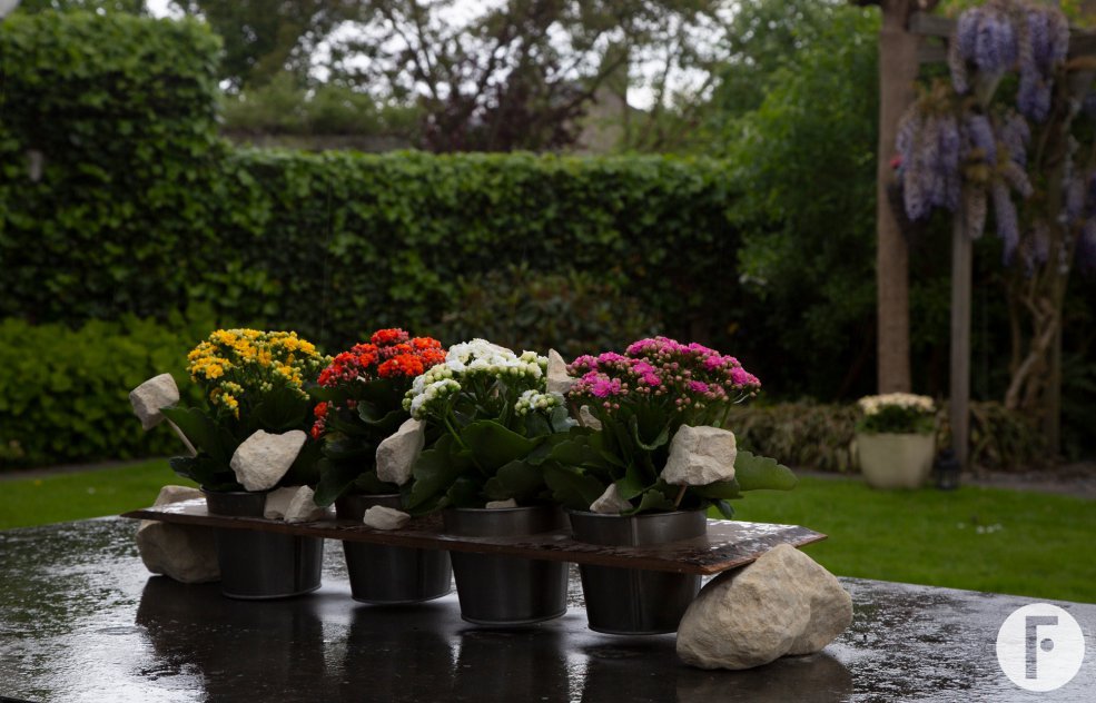 Kalanchoe tafelstuk - Pim van den Akker - Flower Factor