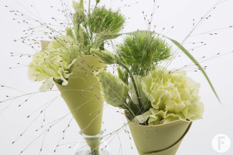 Leren kegels met trendy Dianthus commerciële versie close-up