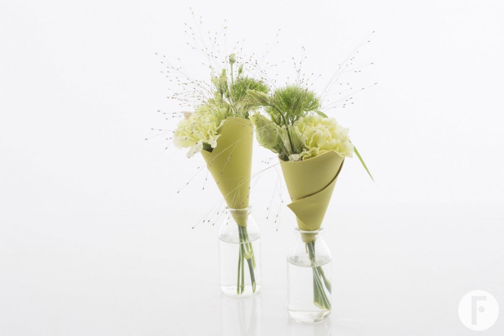 Leren kegels met trendy Dianthus commerciële versie 