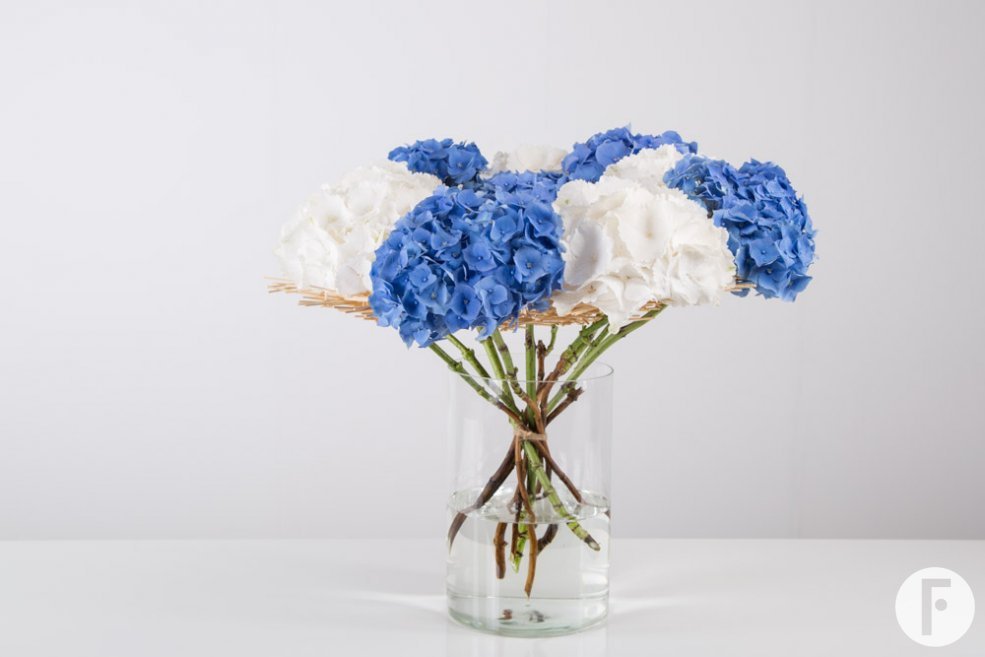 frameboeket met Hortensia Pim van den Akker Flower Factor