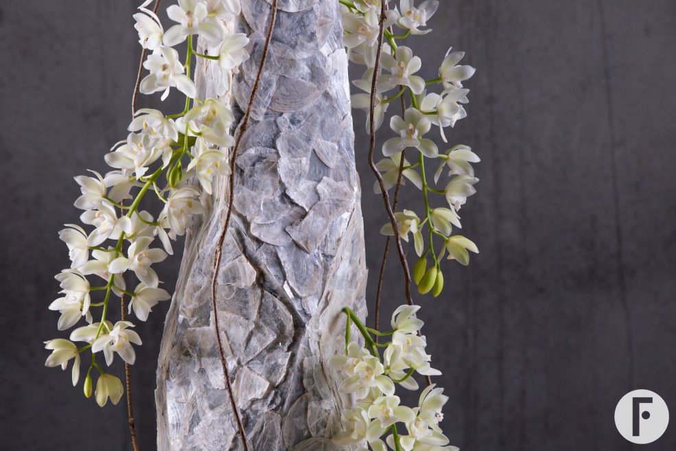 Cybidium 'Ice Cascade' kerstbloemwerk - LZ Orchidee - Flower Factor