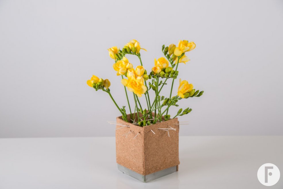 Freesia Kubus