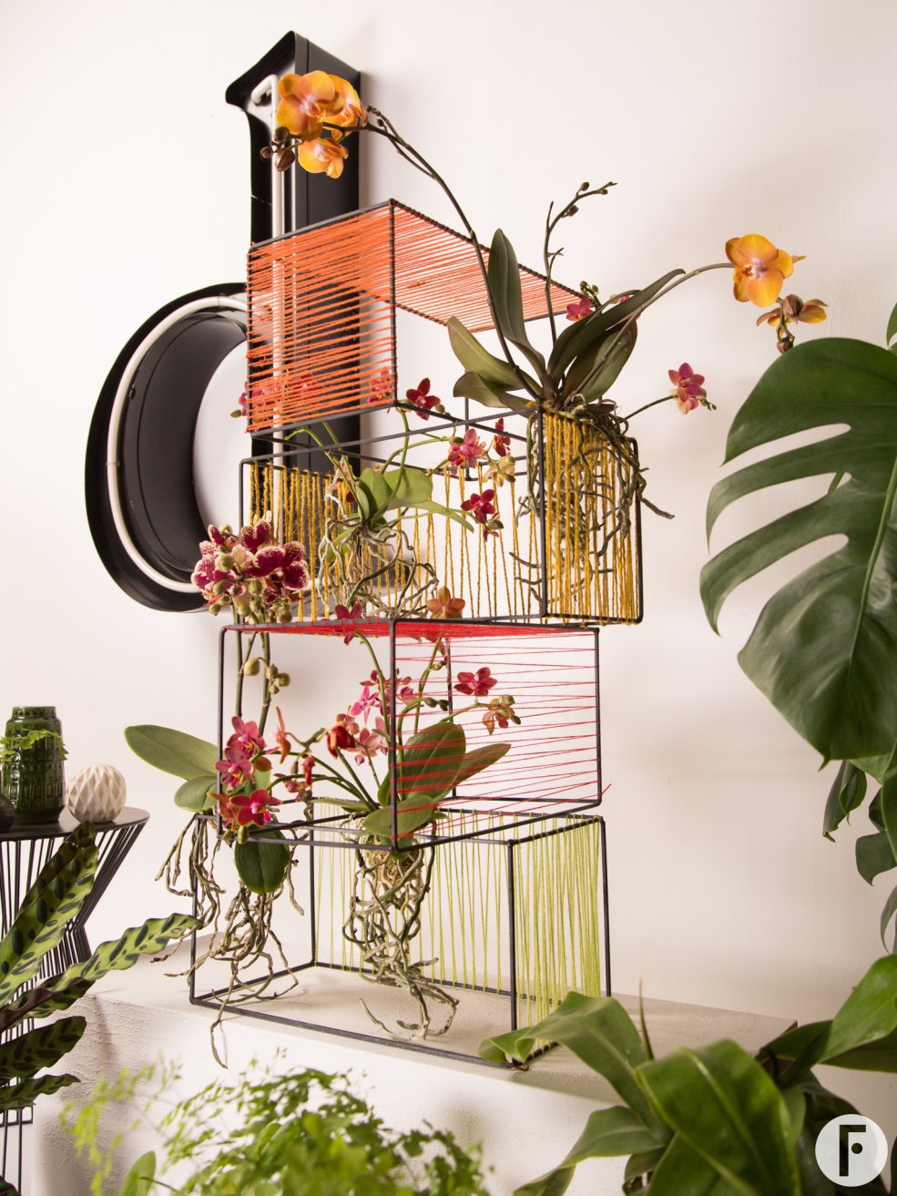 orchideeën urban jungle style - design Chantal Vollenbroek