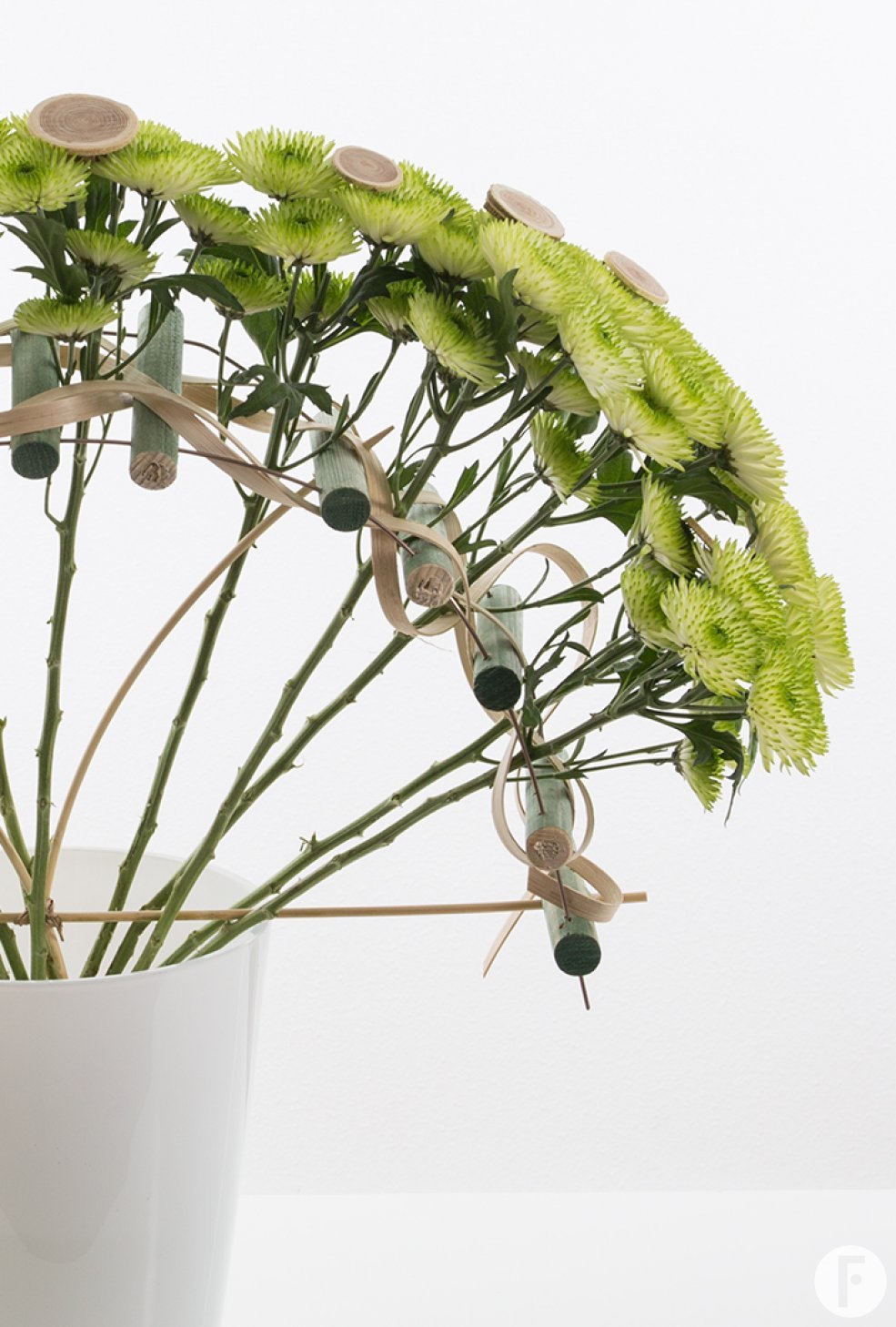 'Cocoon', een in het oog springende soort