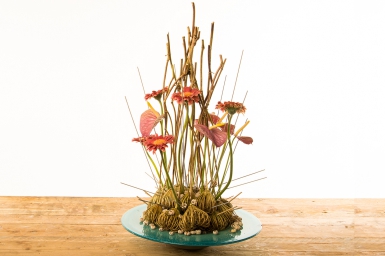 Gerberas and Anthurium Arrangement