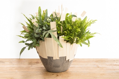 Plantarrangement in een leuk gedecoreerde pot