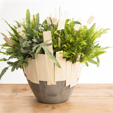 Plantarrangement in een leuk gedecoreerde pot