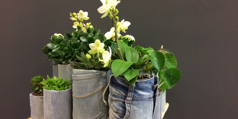 Denim Drift plantenarrangement - Uitgebreid 