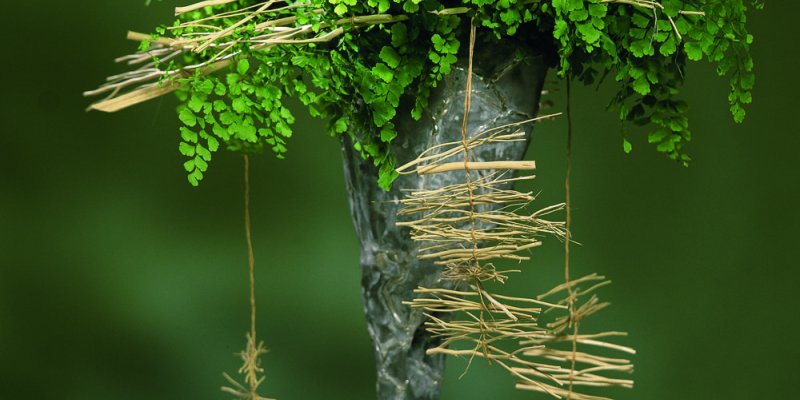 Groene jungle met leuke details