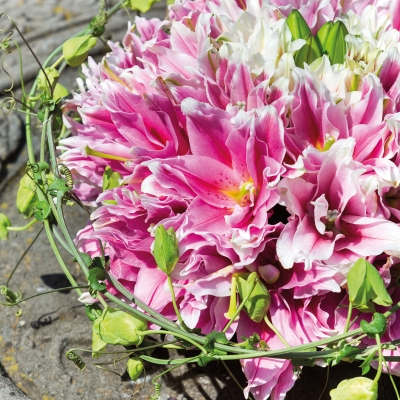 Een prachtige rouwkrans van roze Lilium