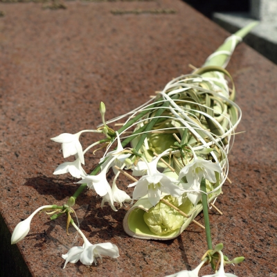 Fijn Eucharis arrangement