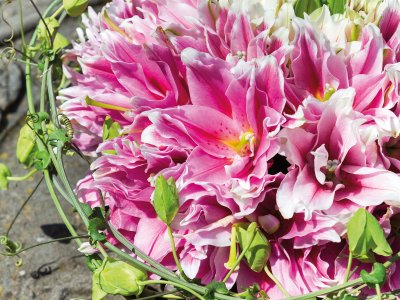 Een prachtige rouwkrans van roze Lilium