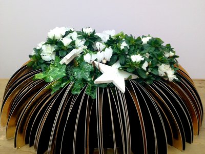 Planten arrangement kerst