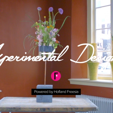 Experimenteel ontwerp van Iris van Werkhoven