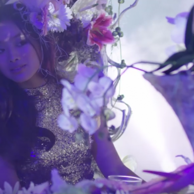 Magical floral nights