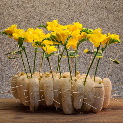 Freesia's brengt lente in jouw huis