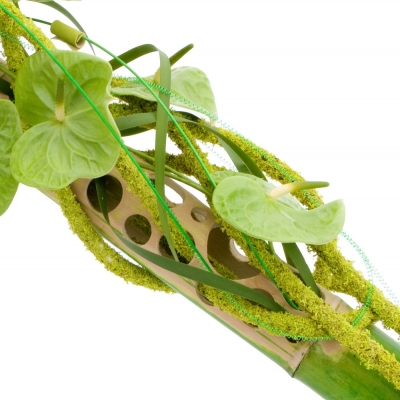 Modern object met Anthurium