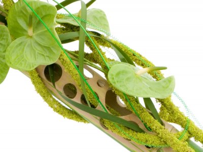 Modern object met Anthurium