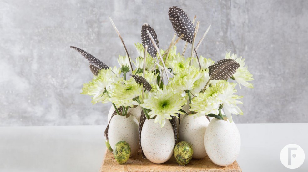 Zentoo moodboard spring 2017 feather design