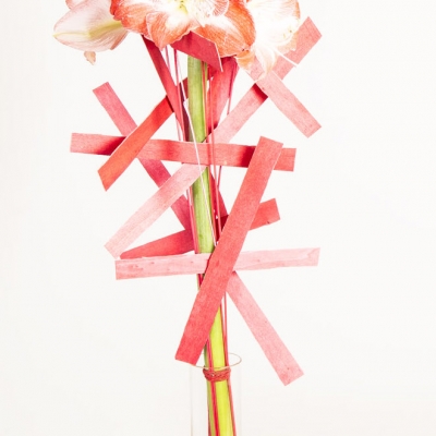 Boeket met een enkele Amaryllis en decoratie