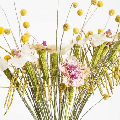 Boeket met Phalaenopsis in de frisse tinten