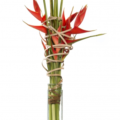Boeket met Heliconia omwikkeld met rotan