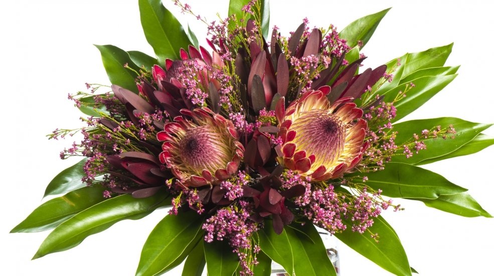 Boeket MDK protea8