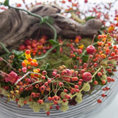 Miniatuur bessentuin