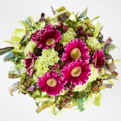 Gerbera, de bloem van elk seizoen