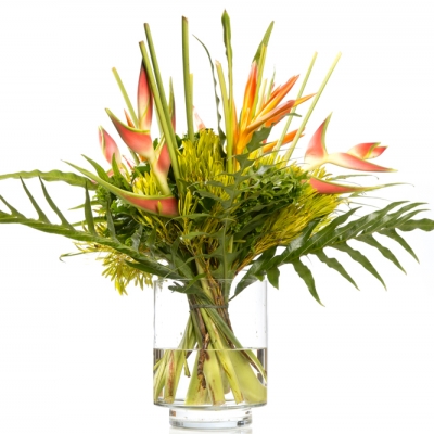 Heliconia brengt het echte zomergevoel