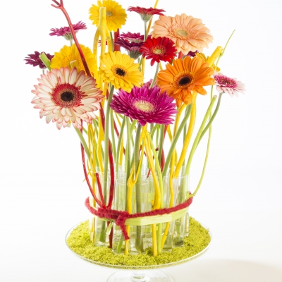 Kleurrijk Gerbera arrangement 