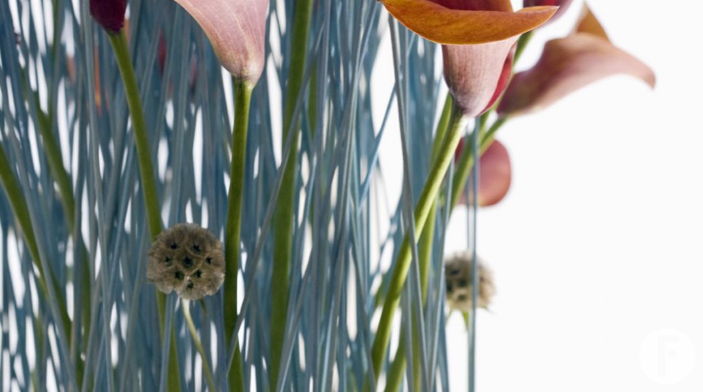 pim van den akker31 kopie