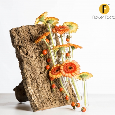 Hout is standaard verbonden met de herfst