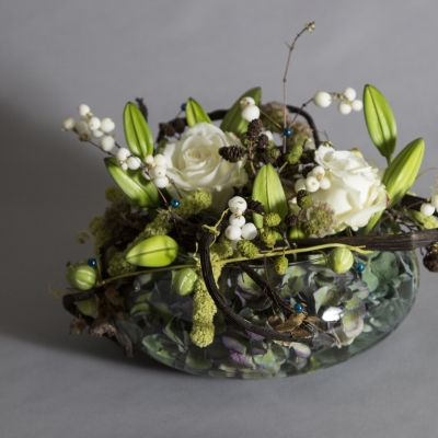 Hortensia achter glas