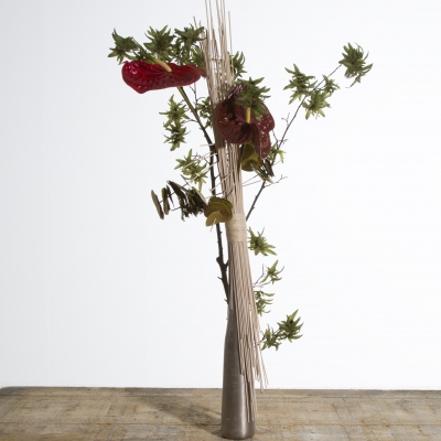 Herfst Anthurium 